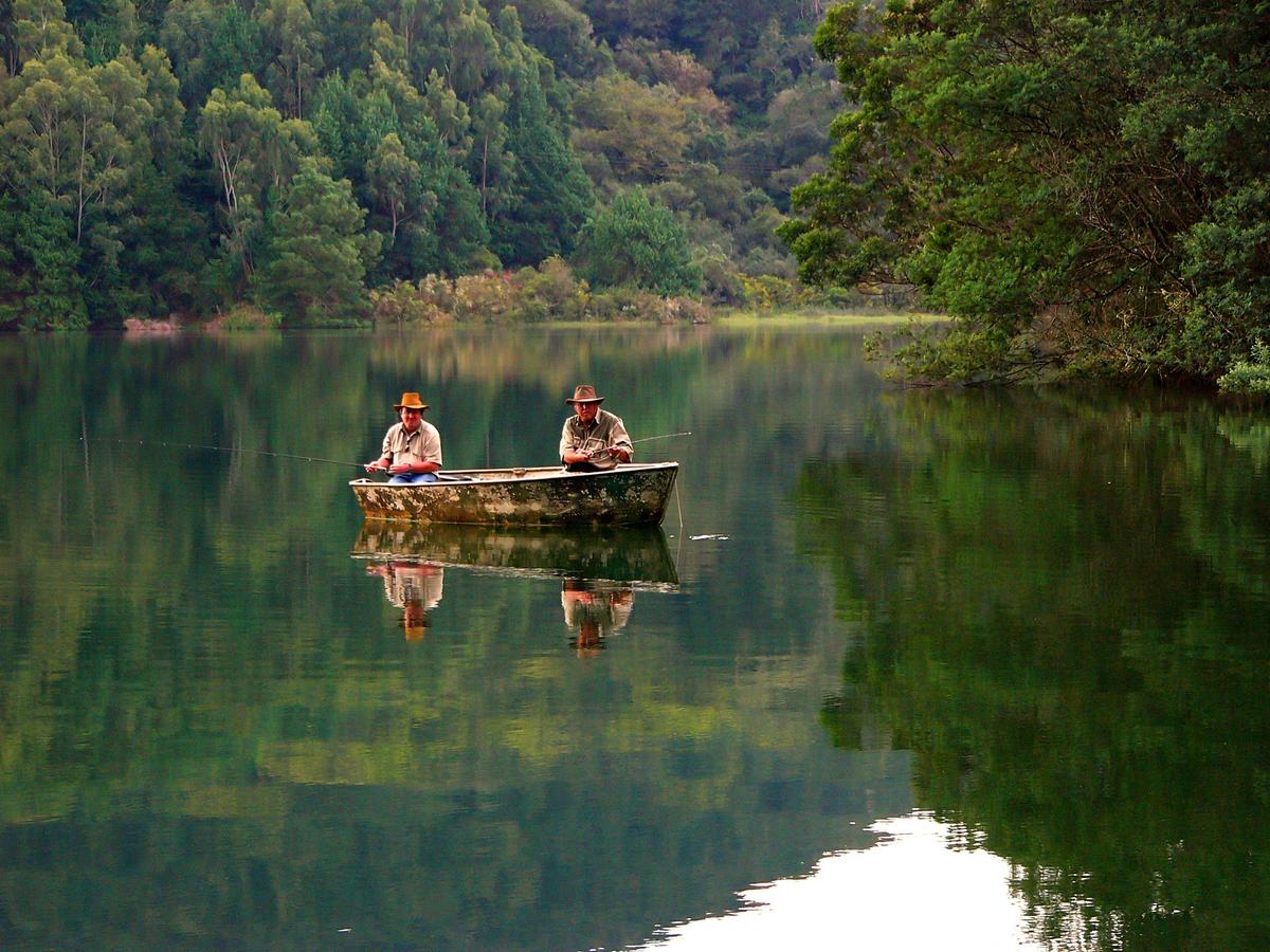 Put More Bliss in Your Life