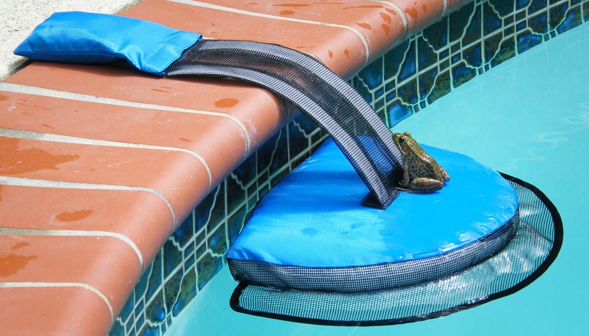 Inventor Creates Ingenious Pool Flotation Device That Saves Frogs and Small Animals From Drowning