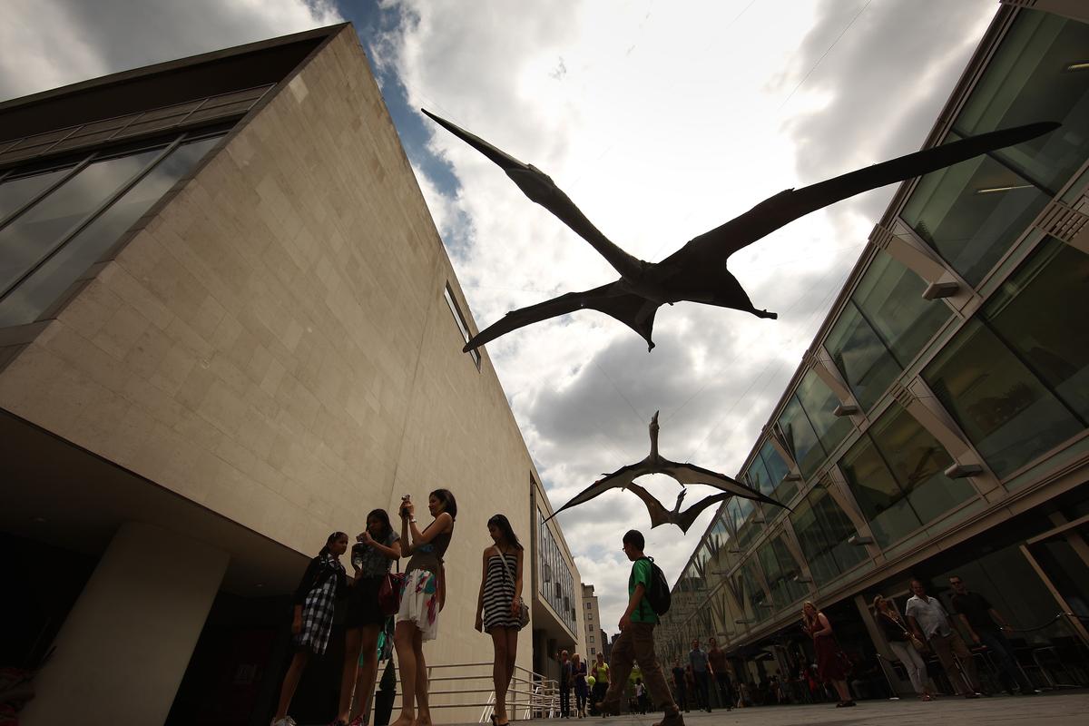 Researchers Discover Evidence Ancient Crocodiles Fed on Flying Reptiles in Alberta