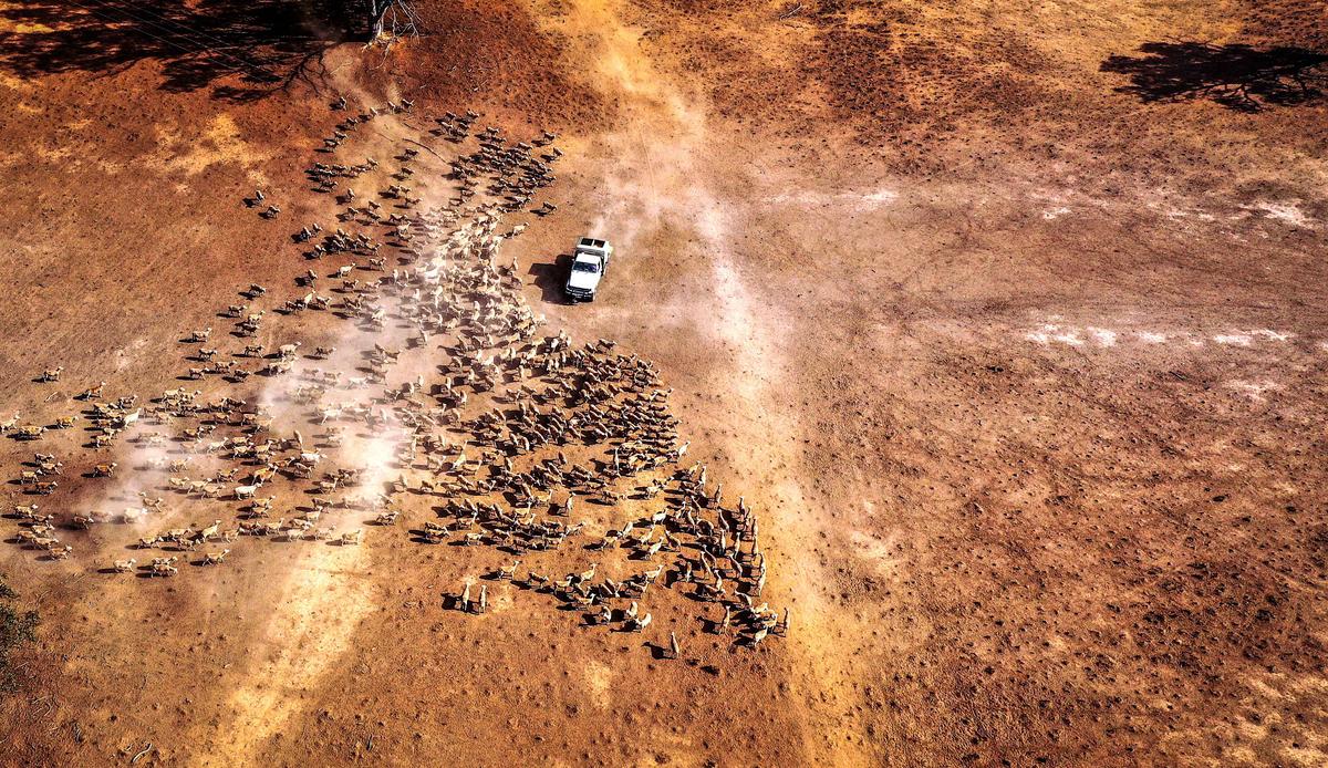 Regional Australia to Benefit From Future Drought Fund