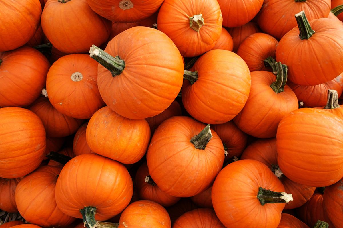 Bed Bath & Beyond Pull Black Jack-O-Lanterns Off Shelves Over ‘Blackface’ Complaints: Report