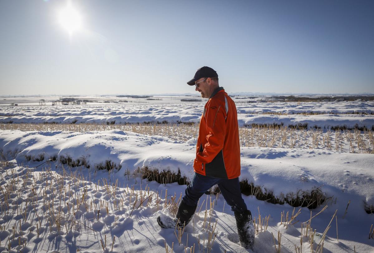 Cold, Stormy Winter Forecast Across Much of Canada, Weather Network Predicts