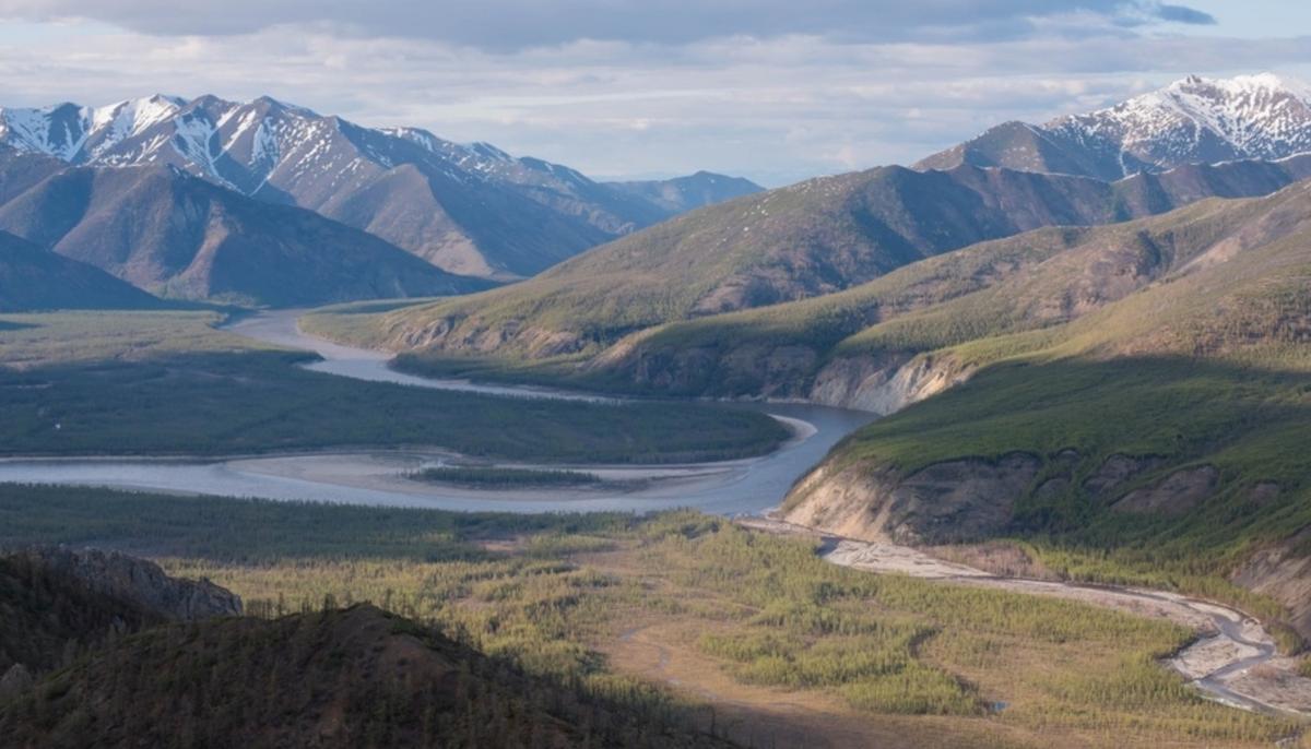 Perfectly Preserved 18,000-Year-Old ‘Puppy’ With Whiskers Found in the Siberian Permafrost