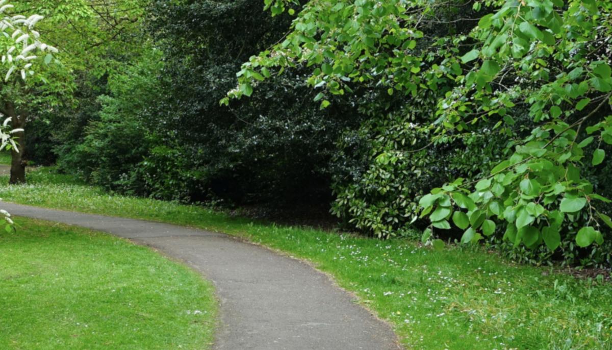 Girl Feels ‘God' Telling Her to Go Out, Then She Hears Faint Cries Coming From Bushes