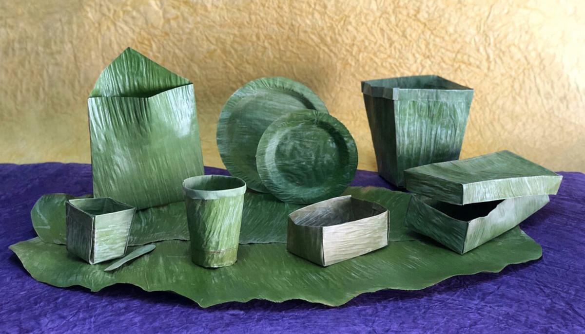 20-Year-Old Inventor in India Creates Biodegradable Plastic Substitute Made From Banana Leaves