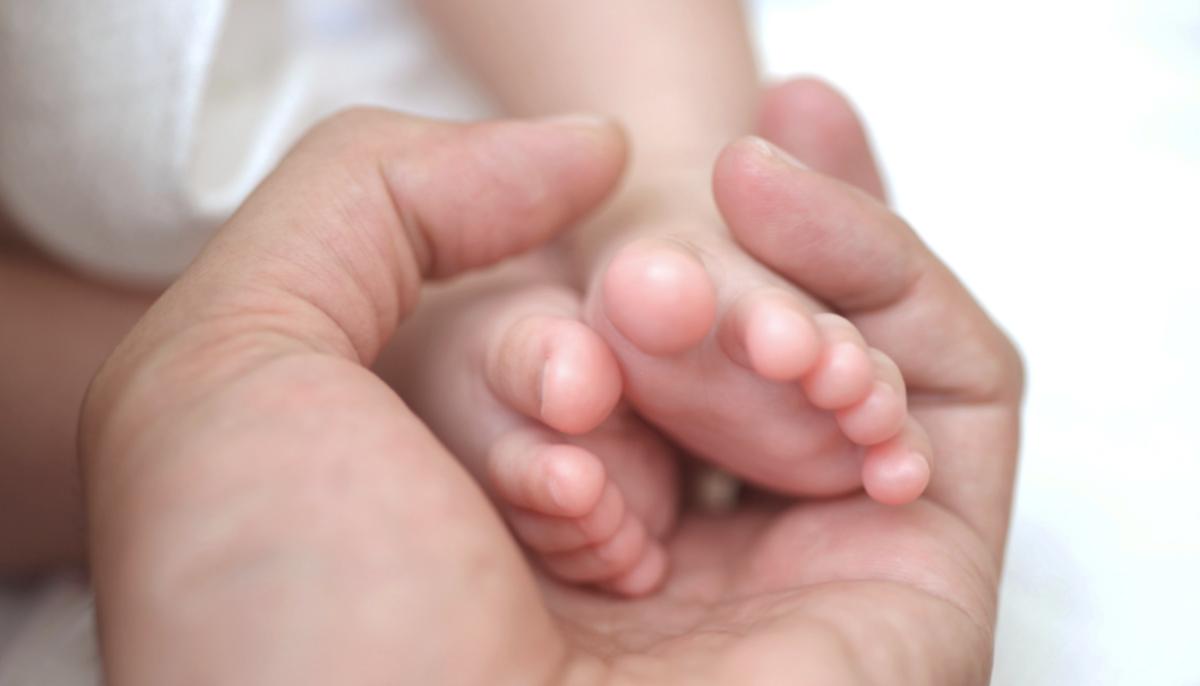Famous Conjoined Twins Abby and Brittany Are 29 Now and Teaching in a School