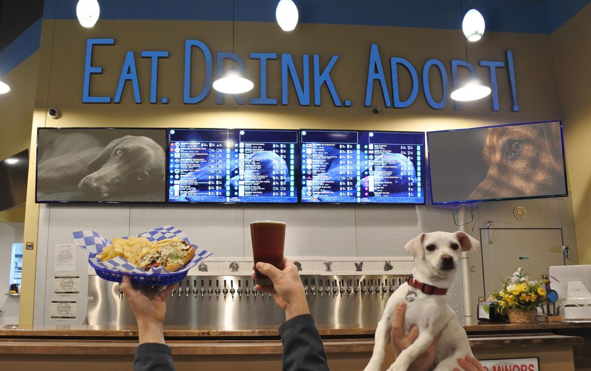 Photo courtesy of <a href="https://www.facebook.com/fidostaphouse/">Fido's - "World's First Dog Tap House"</a>