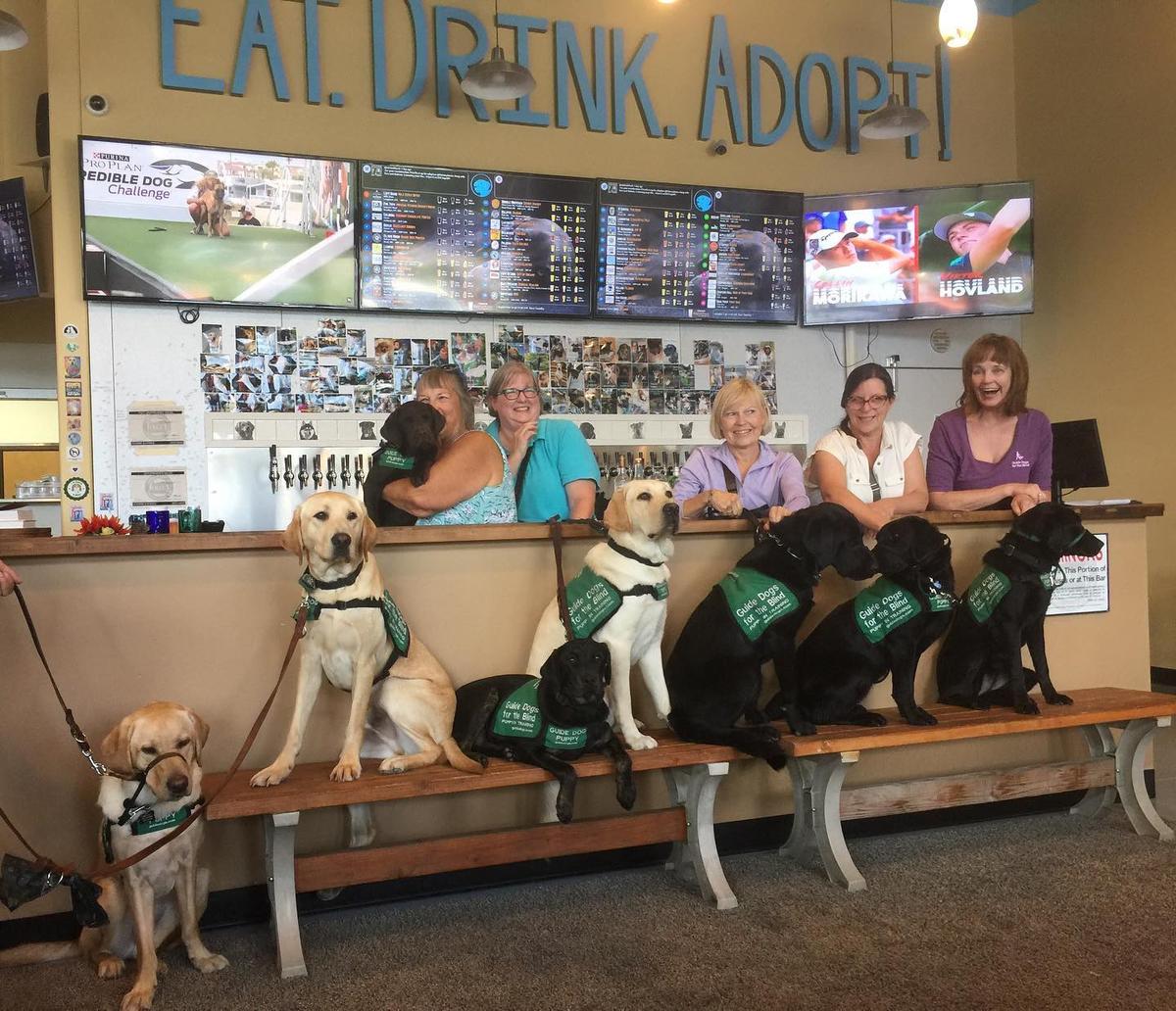 Photo courtesy of <a href="https://www.facebook.com/fidostaphouse/">Fido's - "World's First Dog Tap House"</a>