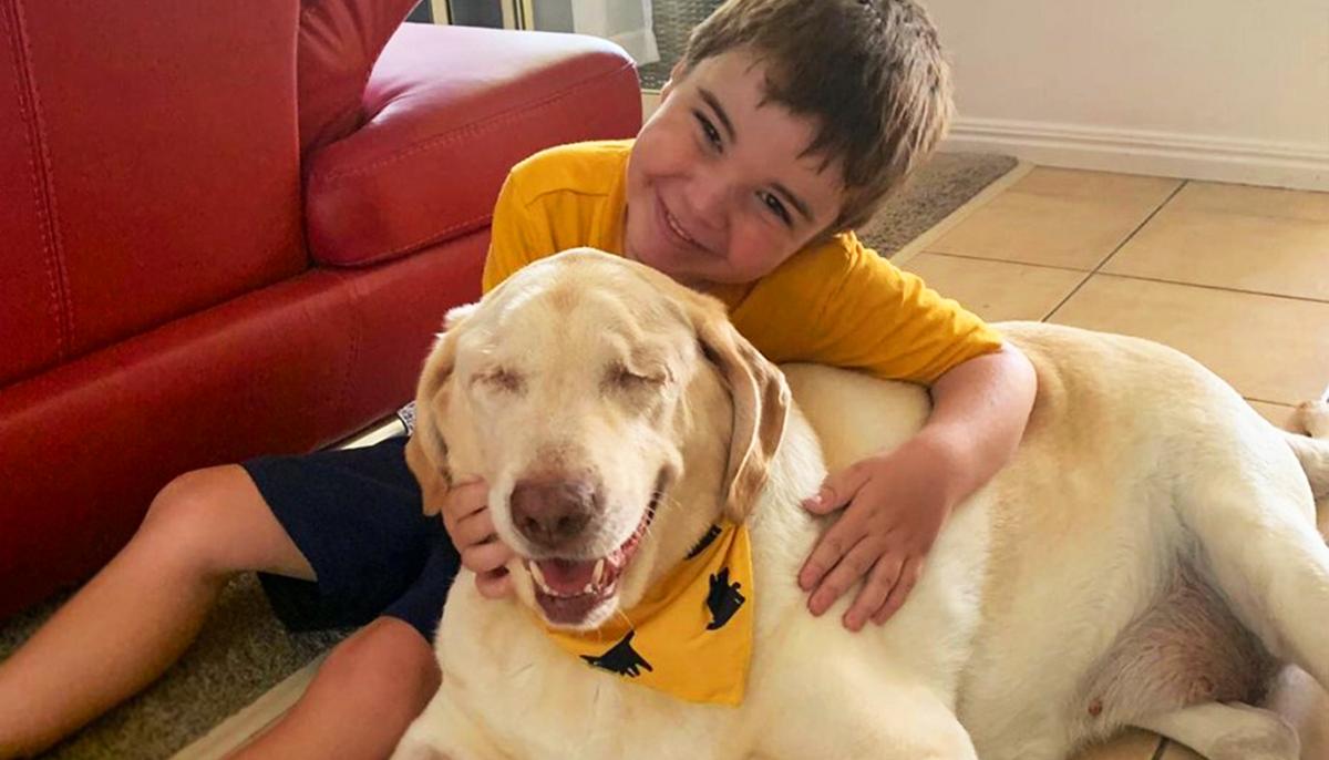 Blind, Overweight Senior Dog Dumped at City Pound–Until Perfect Family Finds Her on Social Media