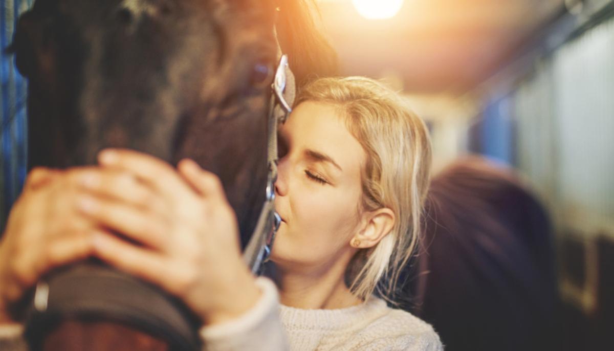 2 Heroic Rottweilers Step In and Save Florida Woman’s Horses From Slaughter