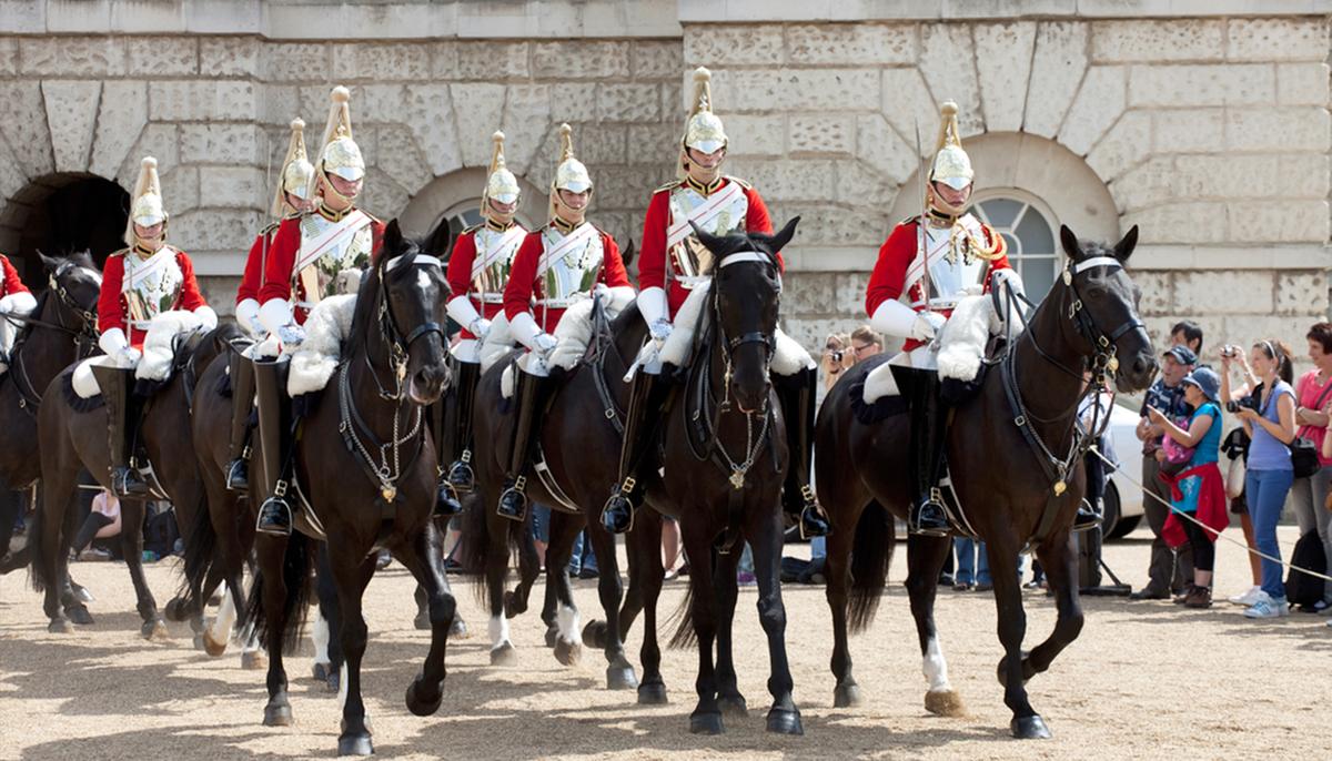 Ex-soldier Adopts Retired Military Horse 20 Years After They Met: ‘He Recognized Me Instantly’