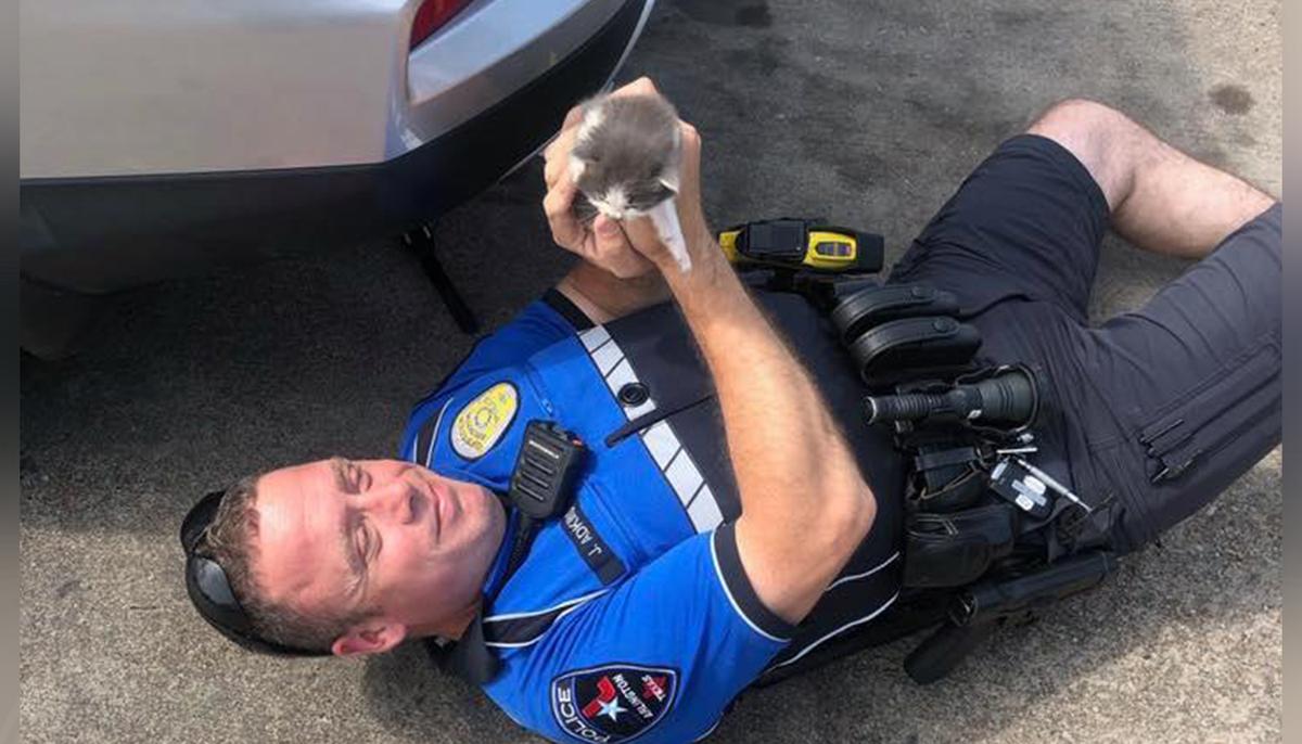 Police Officer Rescues 2 Tiny Kittens From TJ Maxx Store Parking Lot, Then Decides to Adopt Them