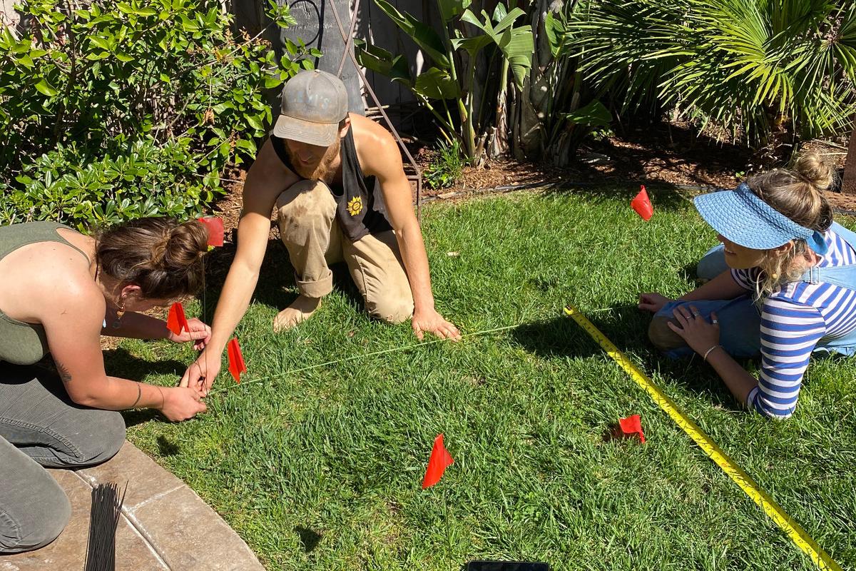 Stories of Silver Linings Amid a Global Pandemic