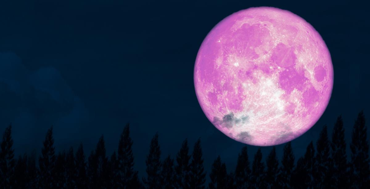 April’s ‘Super Pink Moon’ Marks the Arrival of Spring, May Be Brightest Lunar Event of 2020