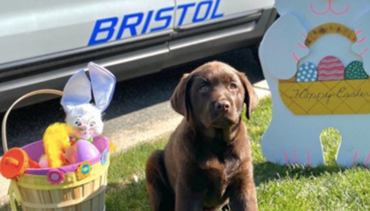 K-9 Puppy Joins Police Department, Naps on Chief’s Desk During Swearing-In Ceremony