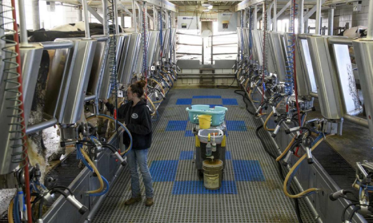 While the Economy Goes Bust, Farm-to-Table Booms