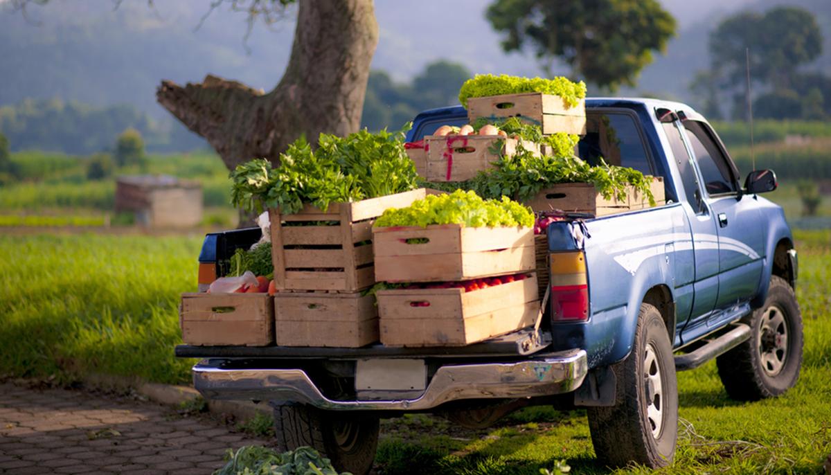 Malaysian Farmer Donates Vegetables Amid the CCP Virus Crisis to Prevent Wastage