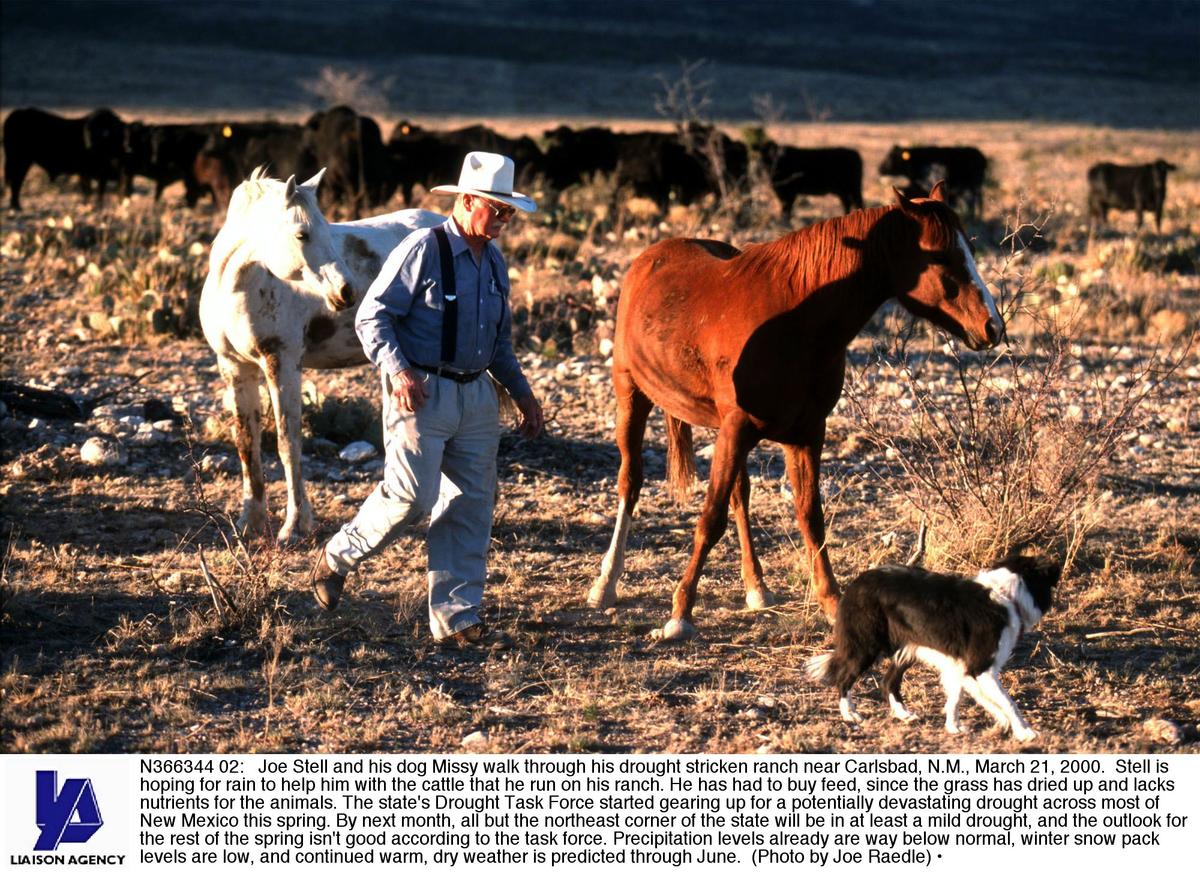 Ranchers Sue Over New EPA Waterways Rule, Claiming Bureaucratic Overreach
