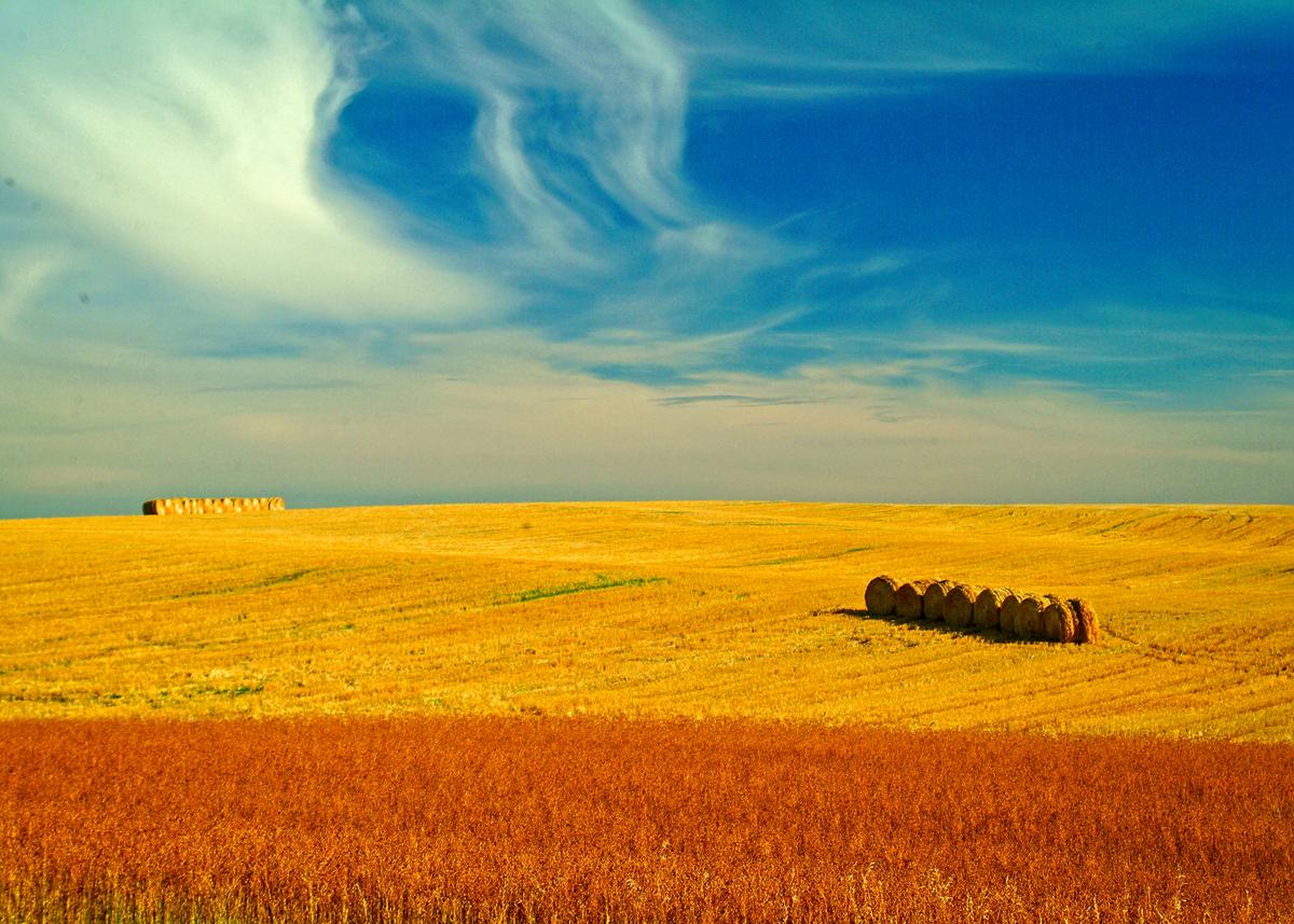 “A world of beauty and color and endless space.” That’s how Teddy Roosevelt described North Dakota, fondly recalling it from his ranching days. (Copyright Fred J. Eckert)