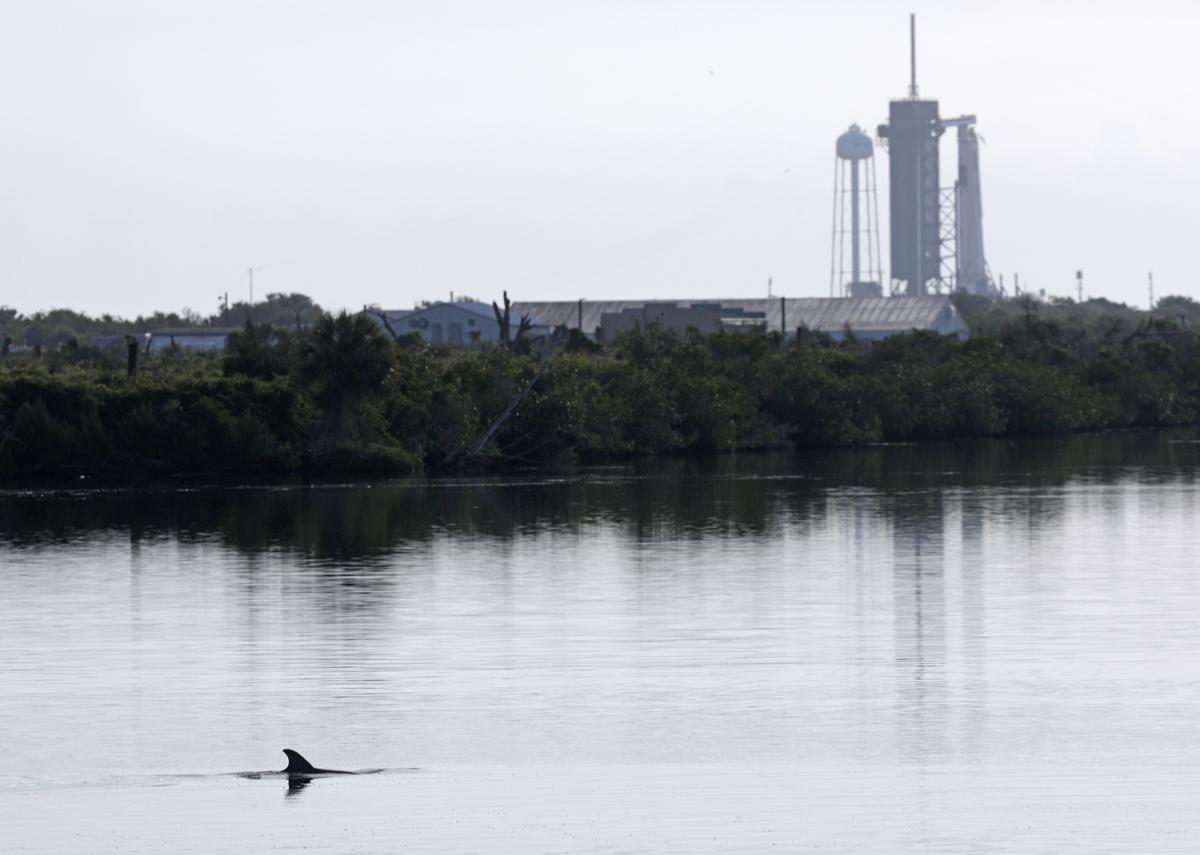 50-50 Chance to Launch Rocket Successfully on Saturday: NASA