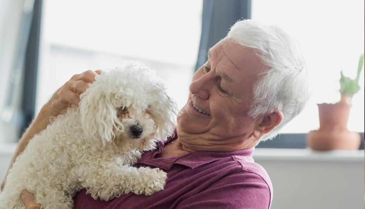 Grandpa Brings Dog Along to Test New Furniture Purchase to Make Sure She Likes It Too
