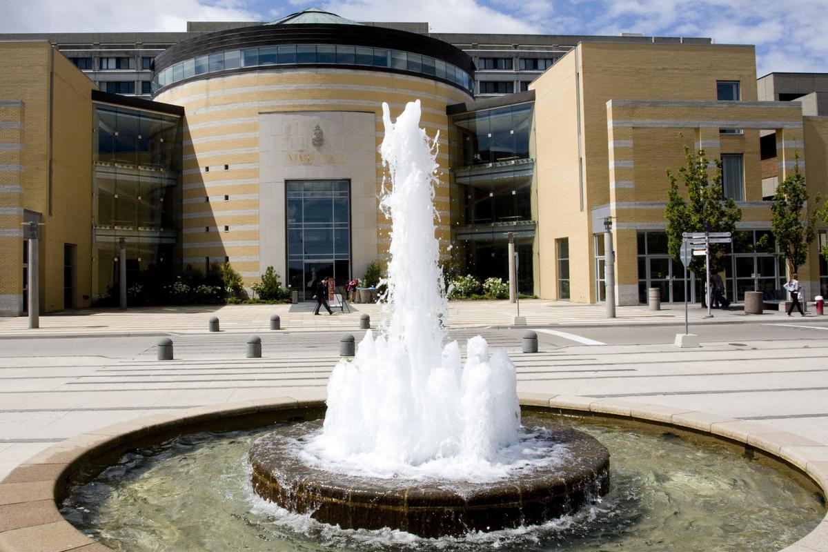 Free Speech Rules at York University Need Overhaul, Review of Rowdy Protest Finds