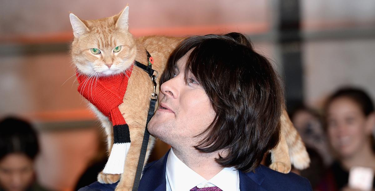 Street Cat Named Bob Who Helped Heroin-Addict Owner Turn His Life Around Dies at Age 14