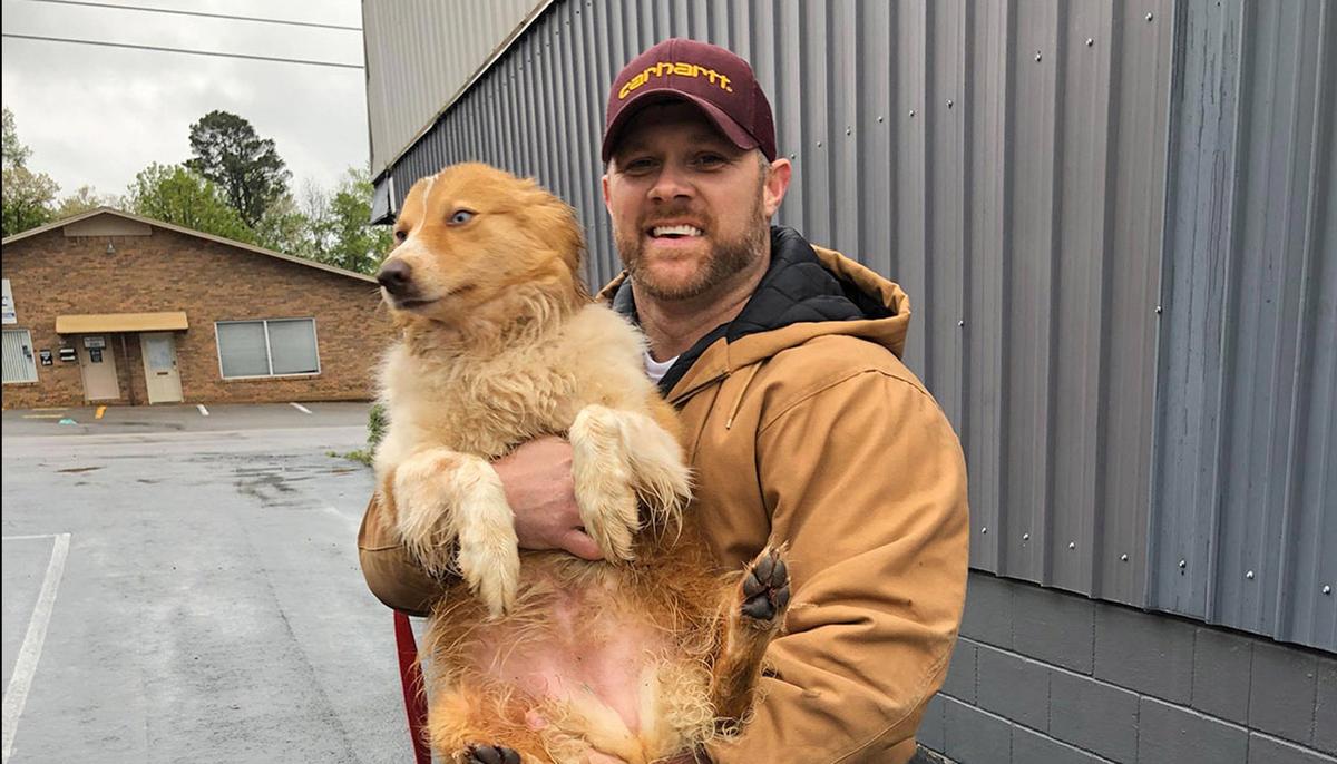 A Dog That Went Missing After Alerting Her Family to a Tornado Has Been Found 54 Days Later