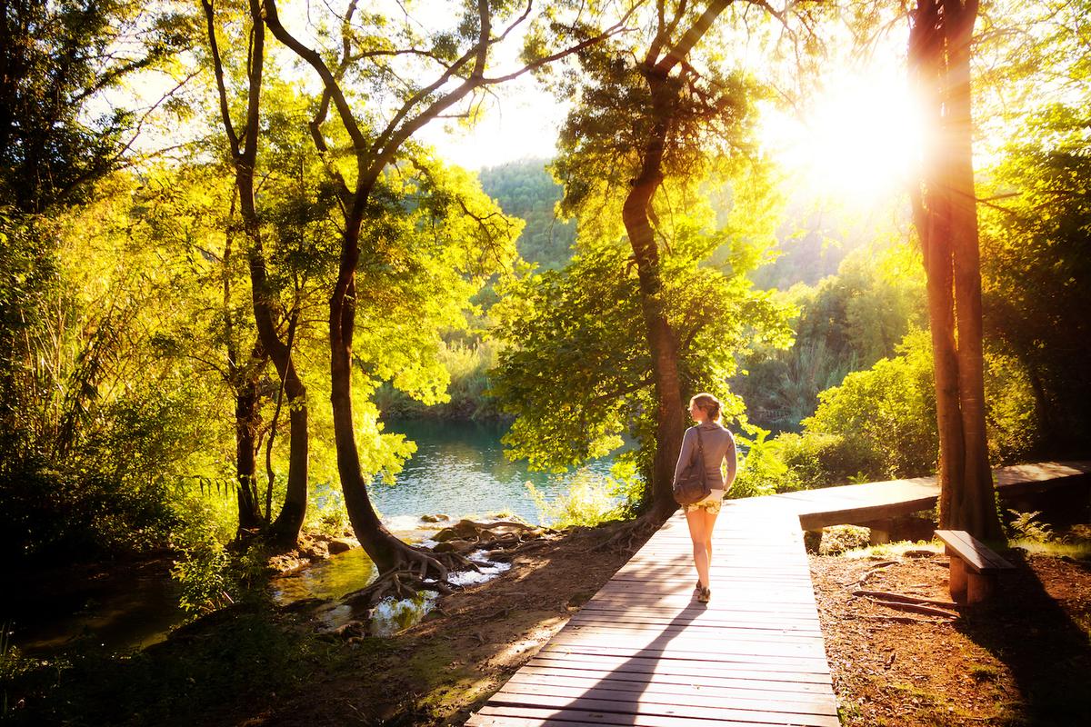 Fresh Air for the Soul: Celebrating Summer in a Hard Time