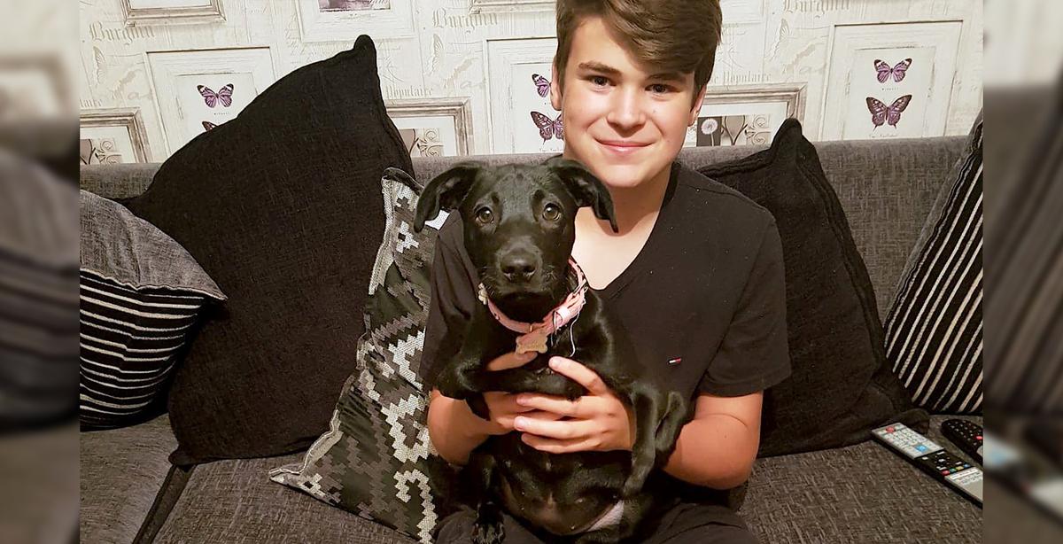 Six-Legged Dog Finds Forever Home With a Bullied Teen: ‘Love at First Sight’