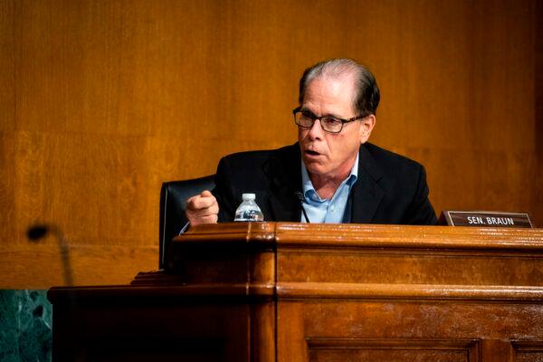 Sen. Mike Braun (R-Ind.) speaks in Washington on May 20, 2020. (Al Drago/Pool/AFP via Getty Images