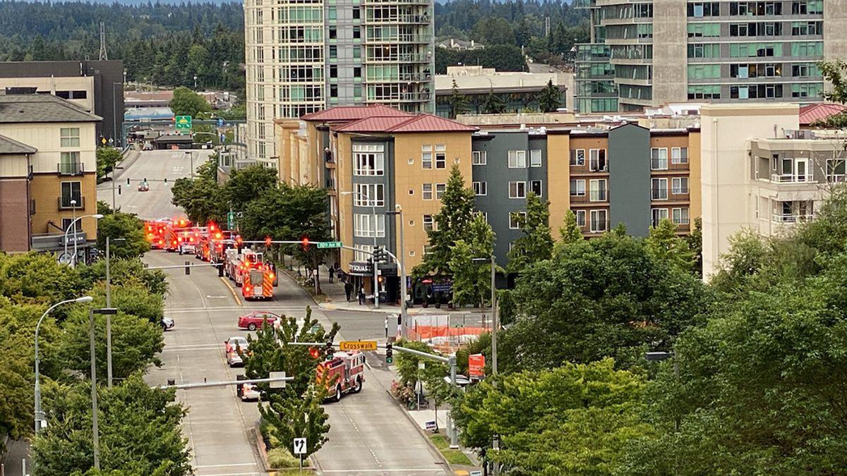 At Least 2 People Dead, 2 Injured in Washington State Shooting