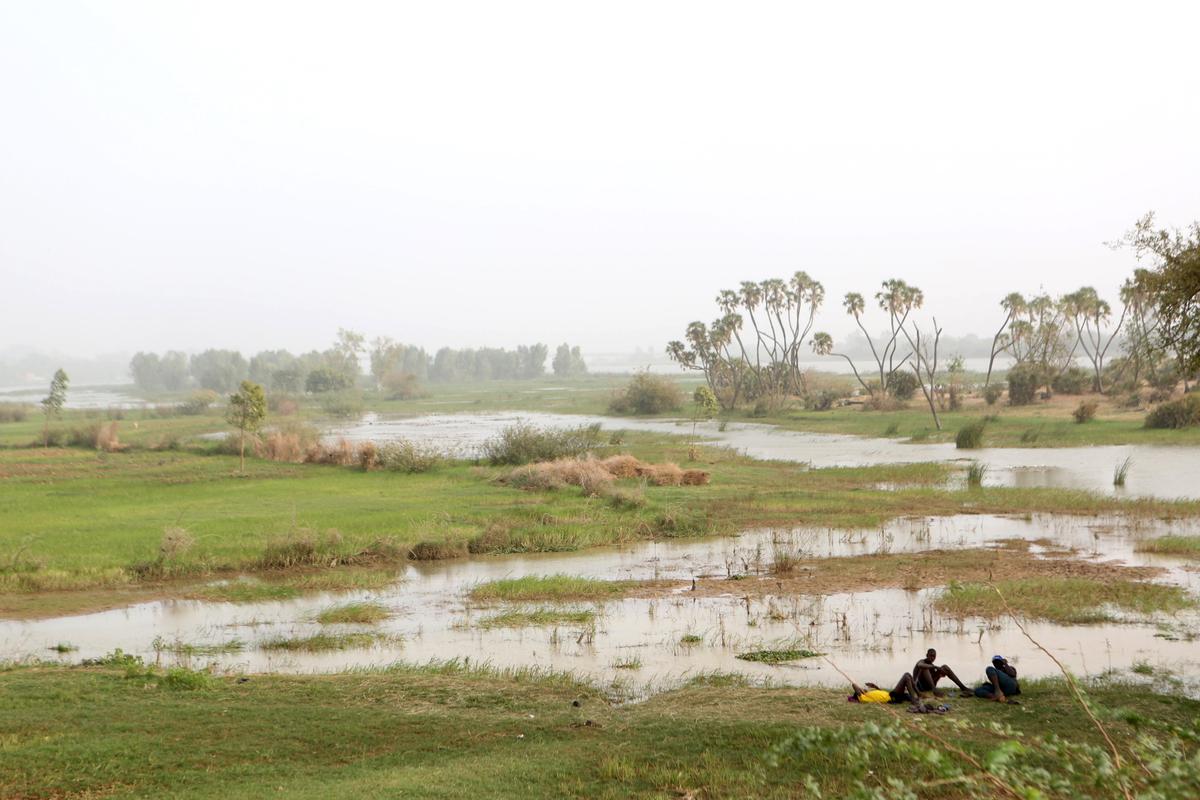 Gunmen Kill 6 French Tourists, Their Driver and Guide in Niger