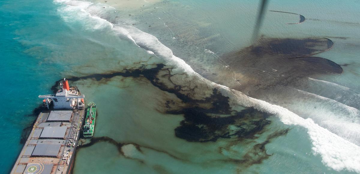 Sea Life Around Mauritius Dying as Japanese Ship Oil Spill Spreads