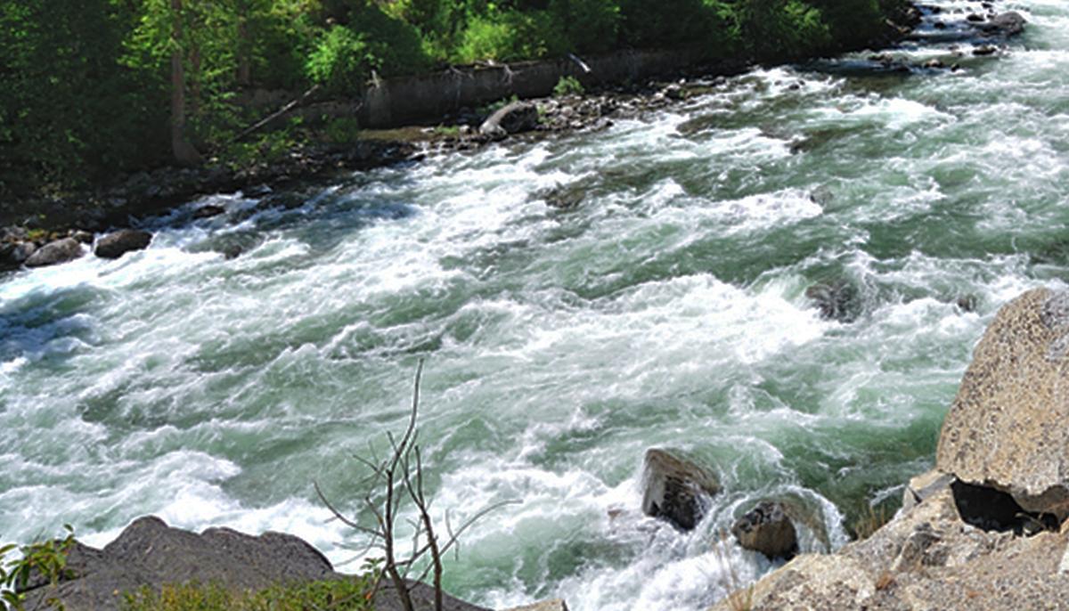 Off-Duty Officers on Vacation Rescue 5-Year-Old Boy From Nearly Drowning in Washington River