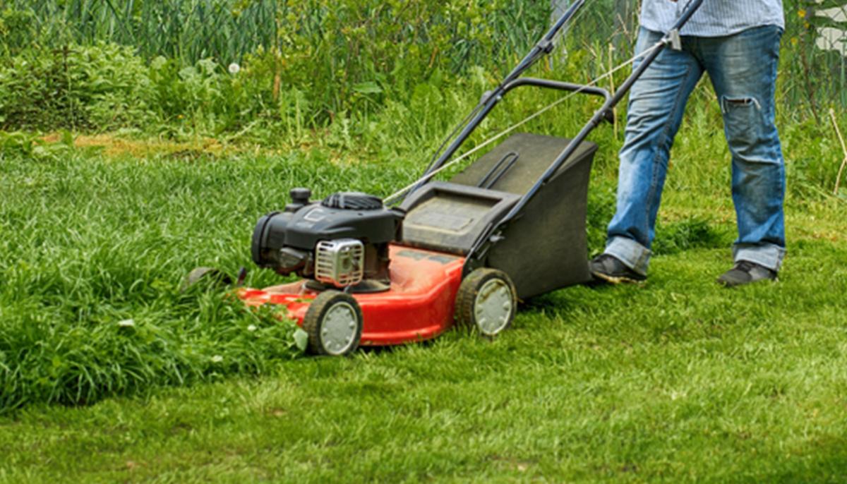 Man Who Mows Lawns for Veterans in All 50 States Now Delivering Supplies to Elderly