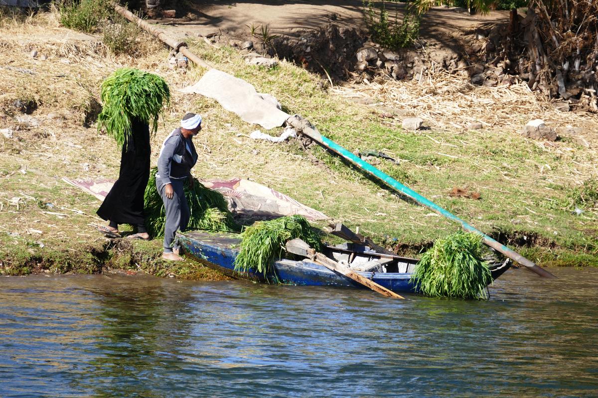 Watch Life Go By on the Nile River in Egypt