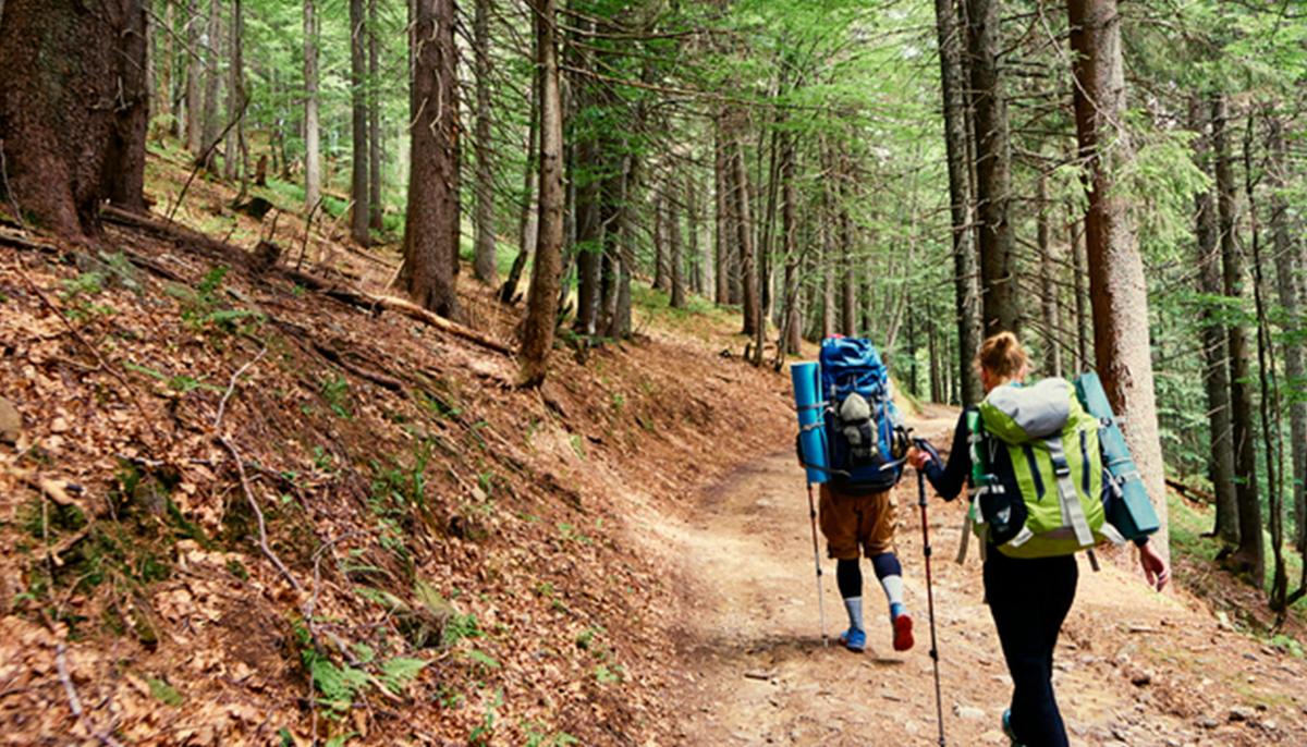 Injured Hiker Found by Dad and Kids Delirious and Skinny After 14 Days Stranded in Forest