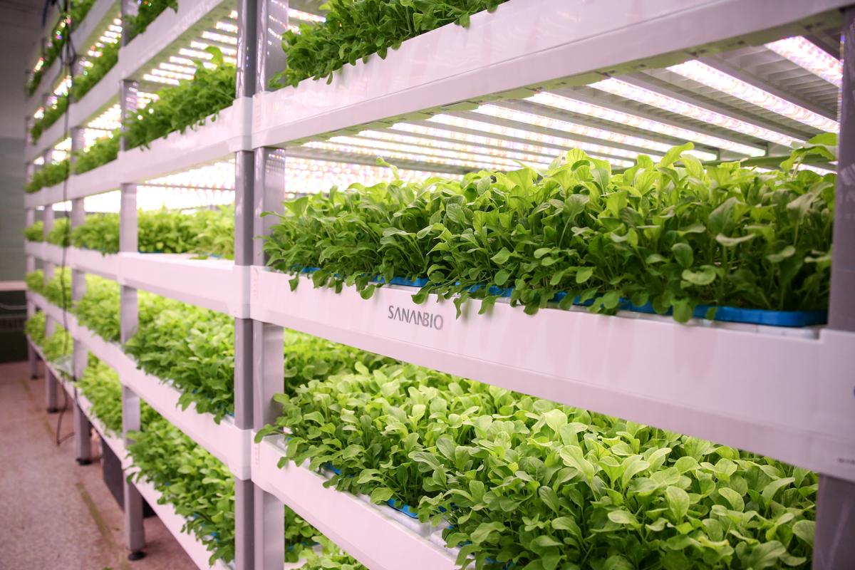 Delaware Farm Planted in Opportunity Zone Gives Former Inmates a Second Chance