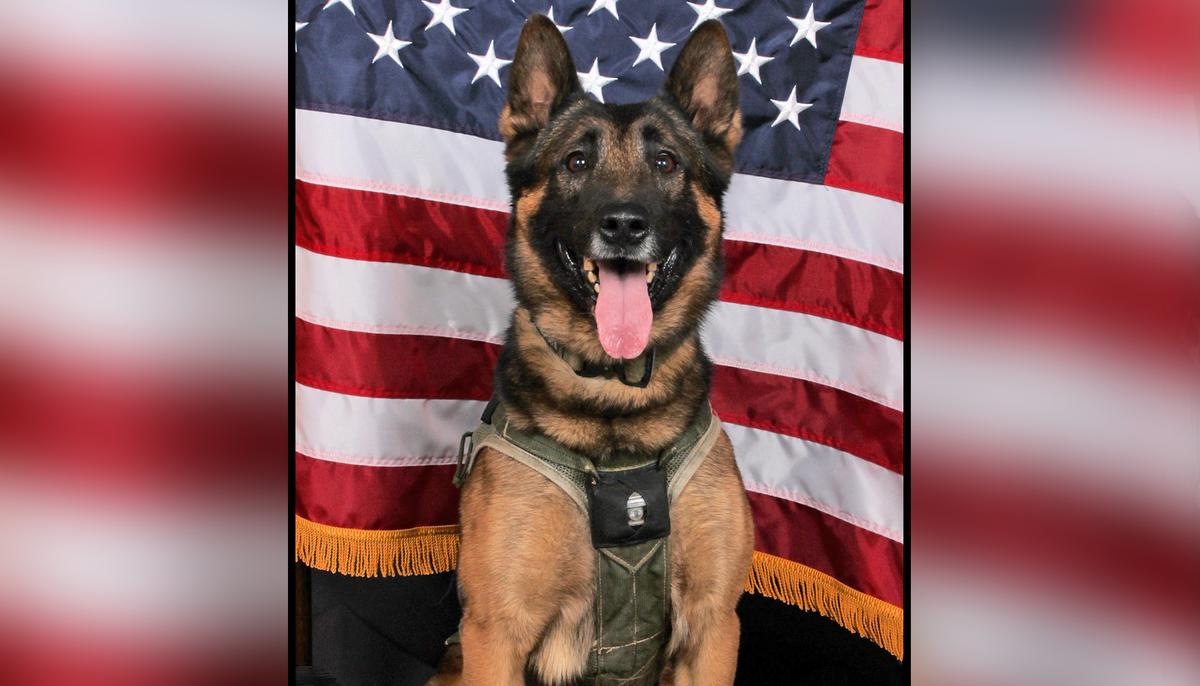 ‘He Sacrificed Himself’: Police Hold Funeral for Fallen SWAT K9 Killed in the Line of Duty