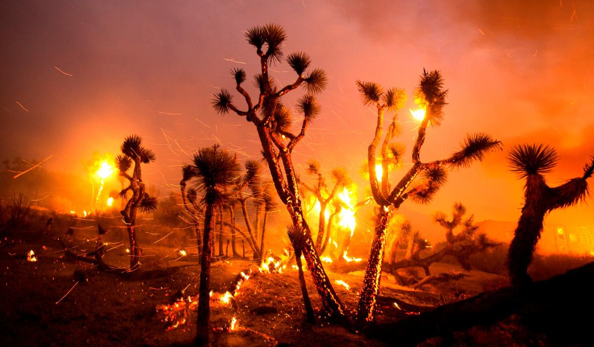 Homes Destroyed After Winds Push California Fire Into Desert