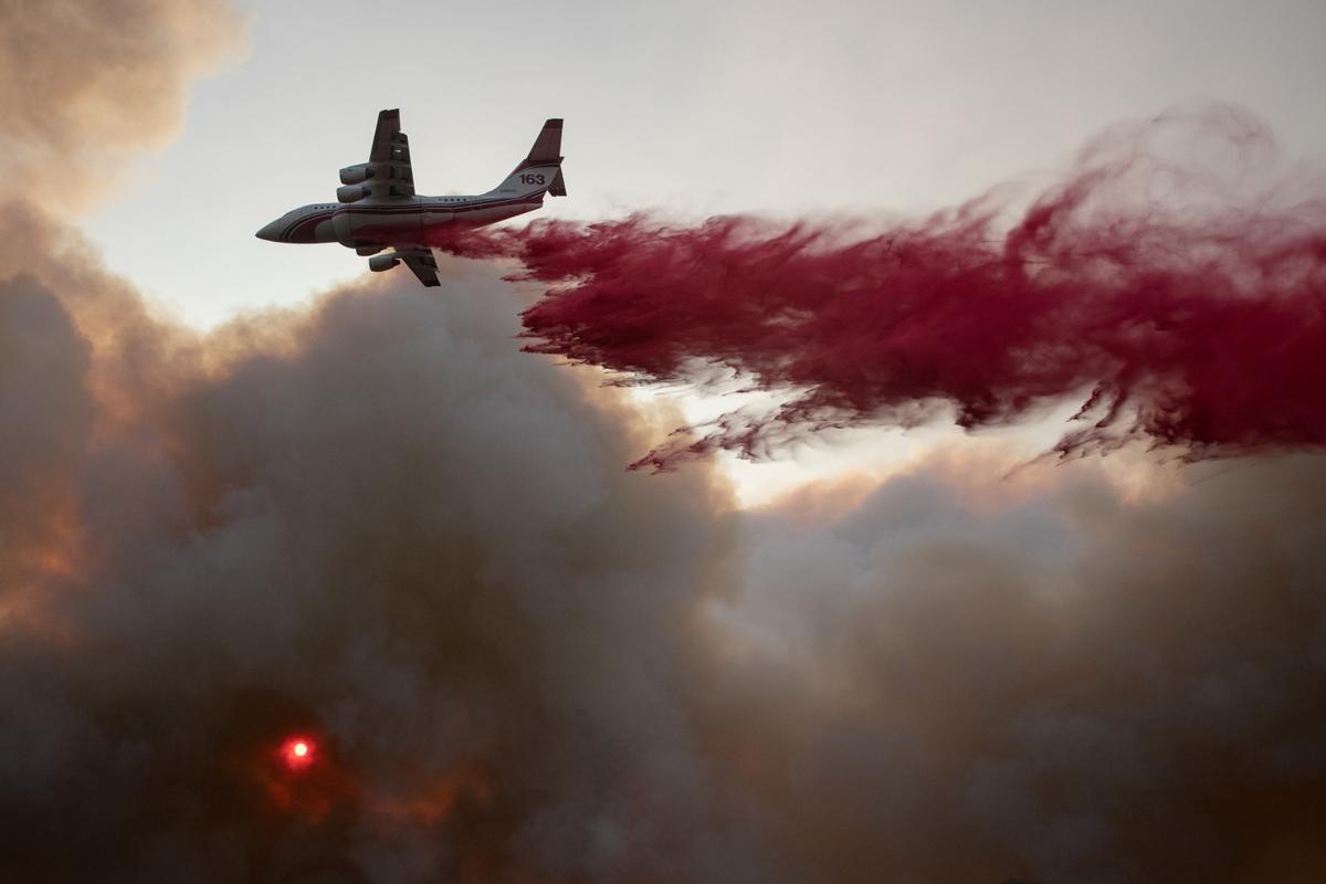 California’s Wildfires Driven by Poor Land Management and Climate, Say Experts