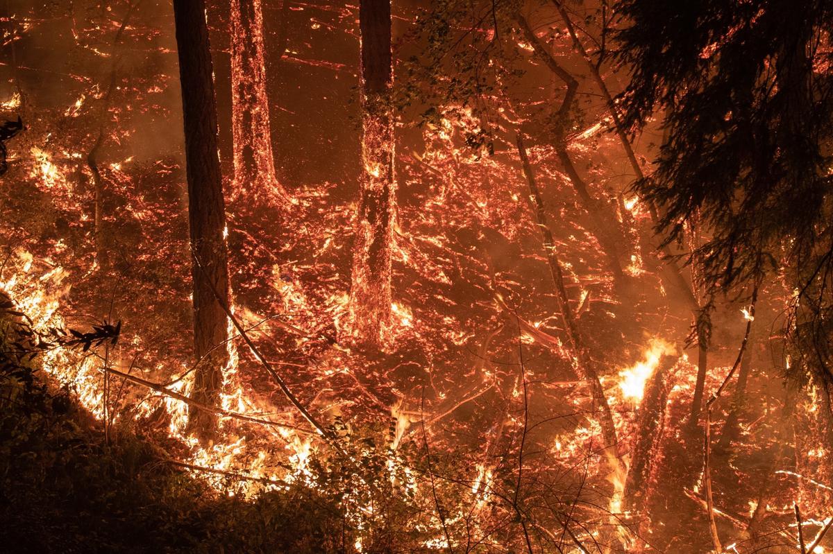 California Residents Again Face Fire Anguish as Homes Burn