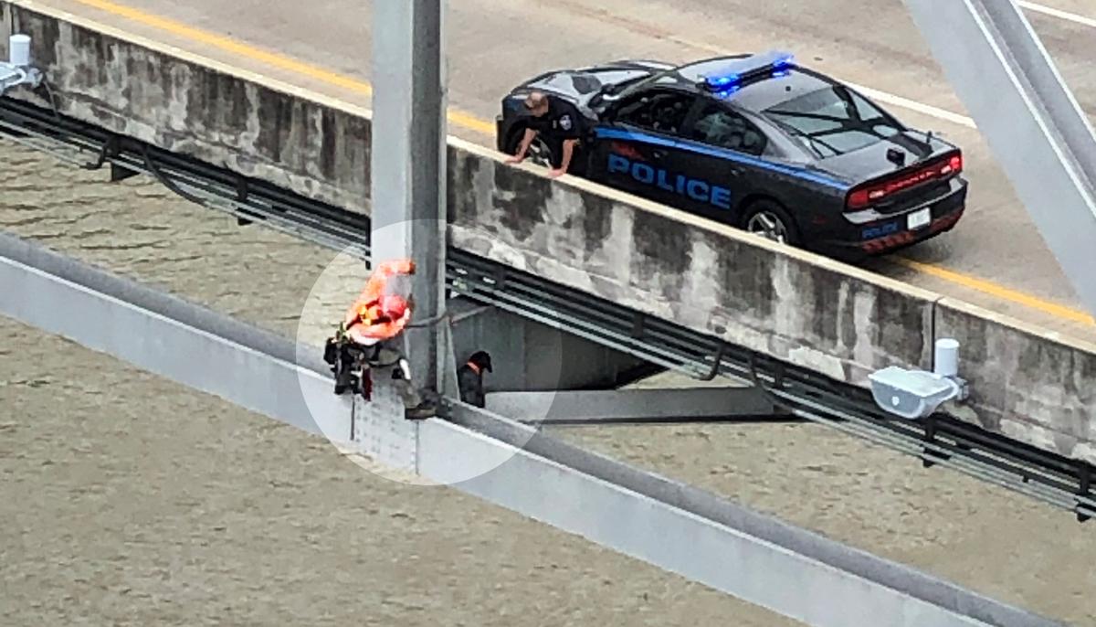 Engineer Saves Pregnant Dog Stranded on Bridge 120 Feet Over Mississippi River