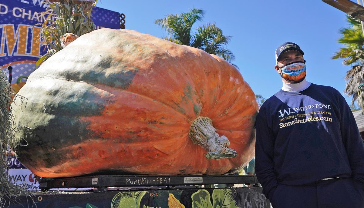 Minnesota Horticulture Teacher Wins California Contest for Pumpkin Weighing 2,350 lb