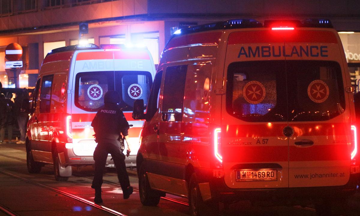 At Least One Killed in Suspected Vienna Terror Attack