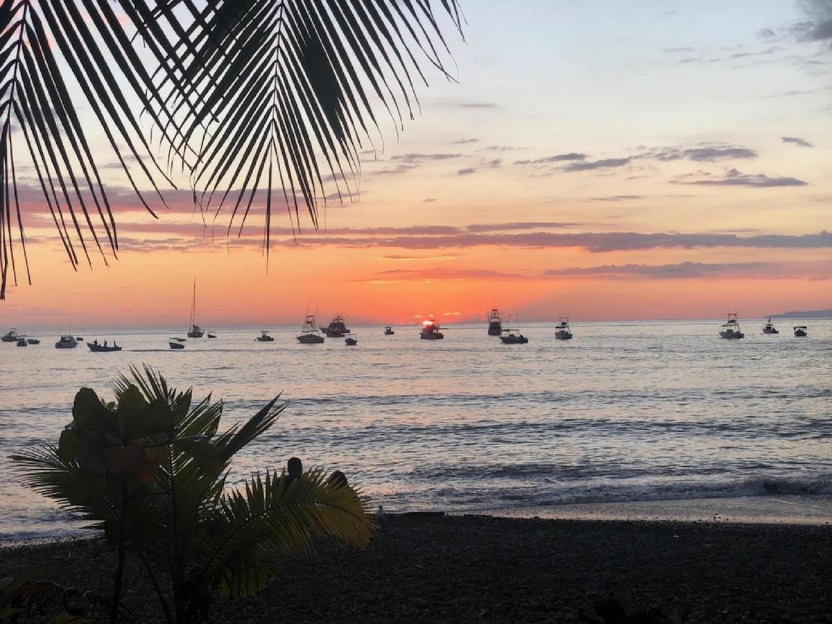 Up Close to Nature in Tropical Costa Rica