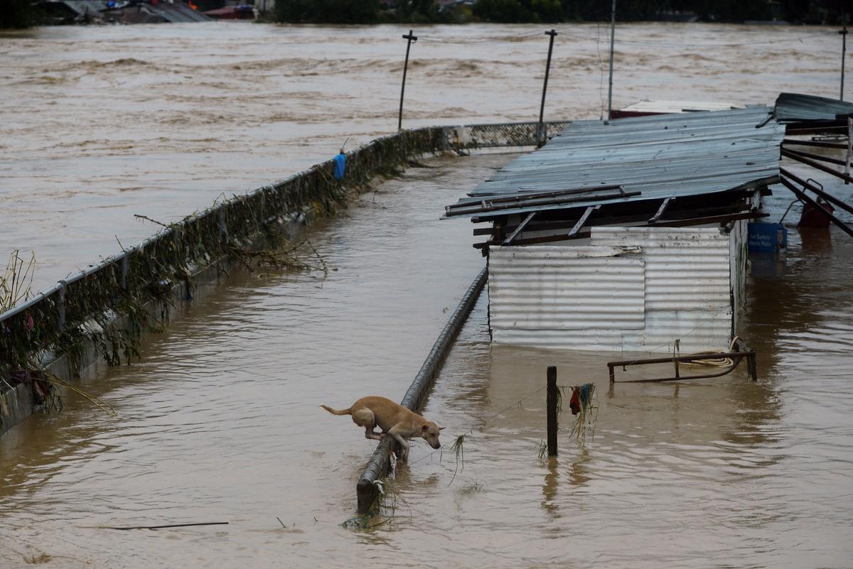 Seven Dead as Typhoon Vamco Triggers Philippine Capital’s Worst Floods in Years