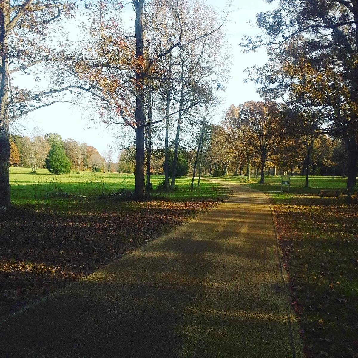 Cowpens: The Battle for Land and Country