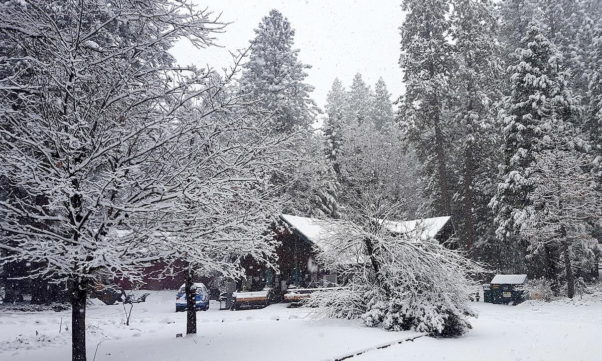 Foot of Snow Blankets Parts of Midwest, Disrupts Travel